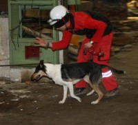 /album/fotogaleria-gecko-nirreterrit-aka-/ja-a-ak-spolu-jpg/